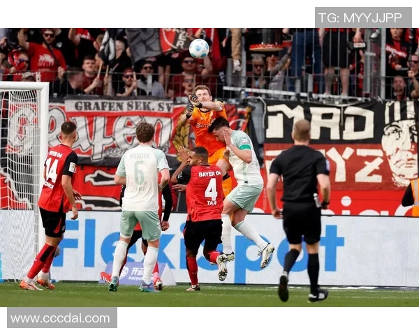 德甲精彩对决比勒费尔德迎战科隆球队争夺激烈不容错过