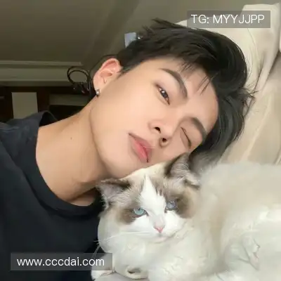 段俪剑